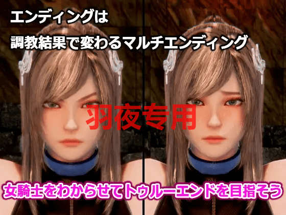 [调教/SLG/新作/有动画] 監禁女騎士～異世界転生したらオークに間違われた男+特典 [2.5G/度盘]